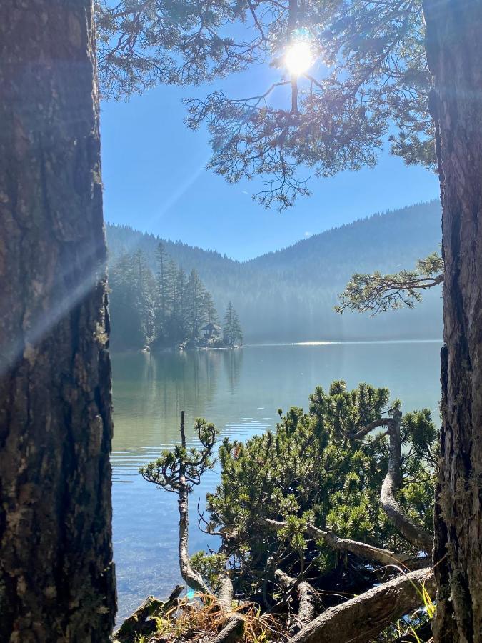 Žabljak Magia Di Montagnaヴィラ エクステリア 写真