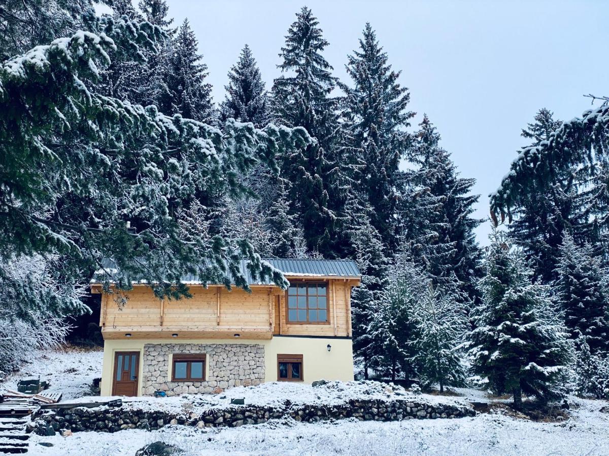 Žabljak Magia Di Montagnaヴィラ エクステリア 写真