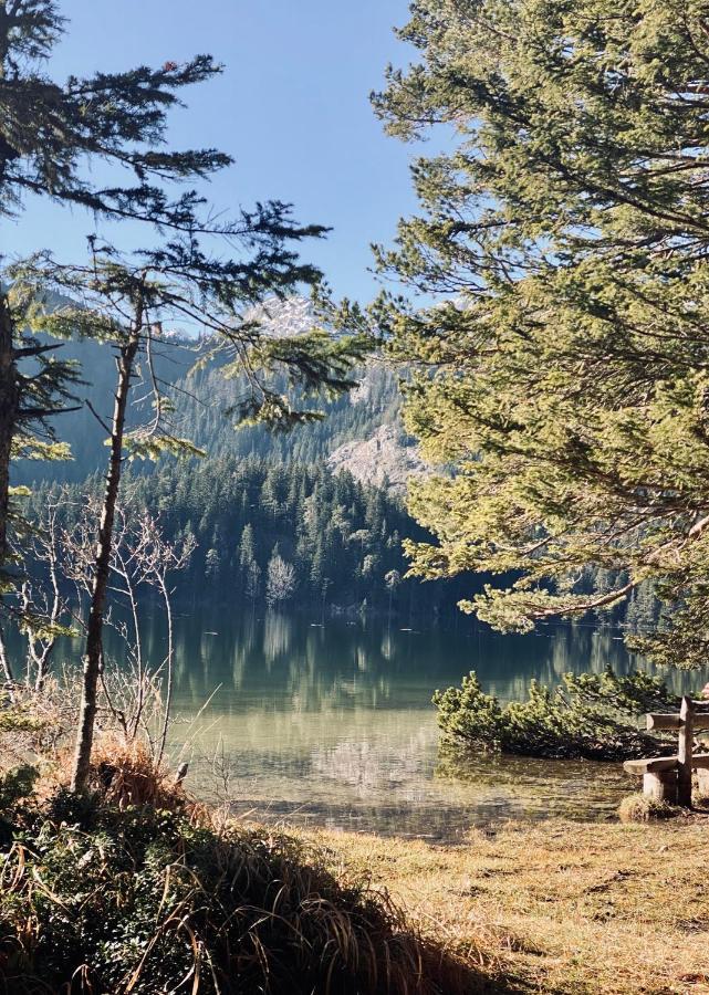 Žabljak Magia Di Montagnaヴィラ エクステリア 写真