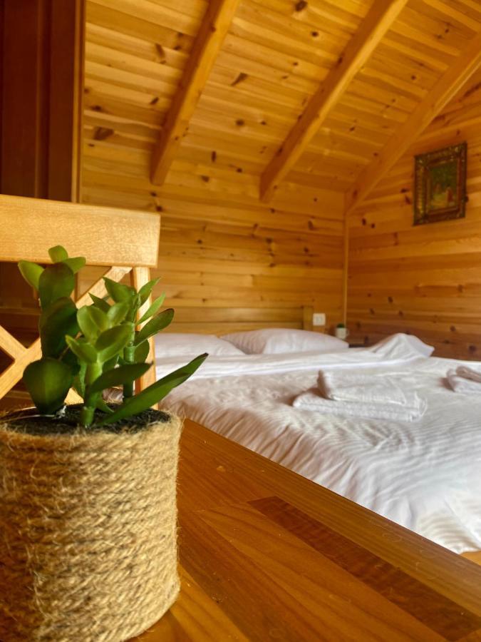 Žabljak Magia Di Montagnaヴィラ エクステリア 写真